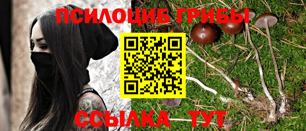 Новокубанск  Галлюциногенные грибы ЛСД  закладка  Вход с VPN 