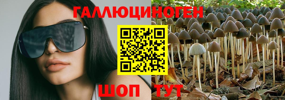 Псилоцибиновые грибы ЛСД Новокубанск